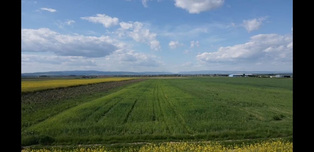 Teren extravilan 395 mp, Prejmer, Brasov - 3 600 euro