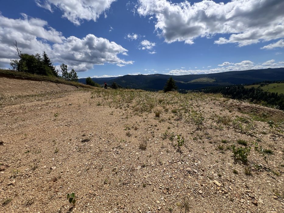 Vand Teren superb in zona Belis Accept plata in crypto