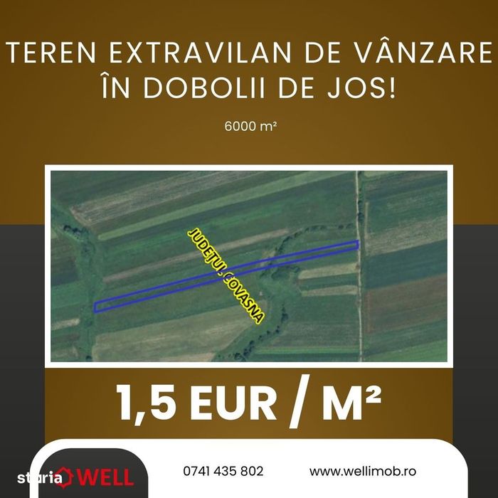 Teren extravilan de vânzare în Dobolii de Jos!
