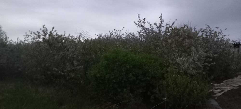 Продам дачу в районе автоцона