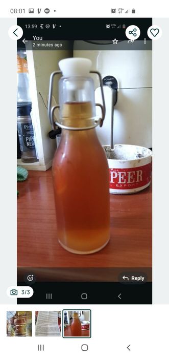 Ciuperca de kefir si ciuperca de Kombucha