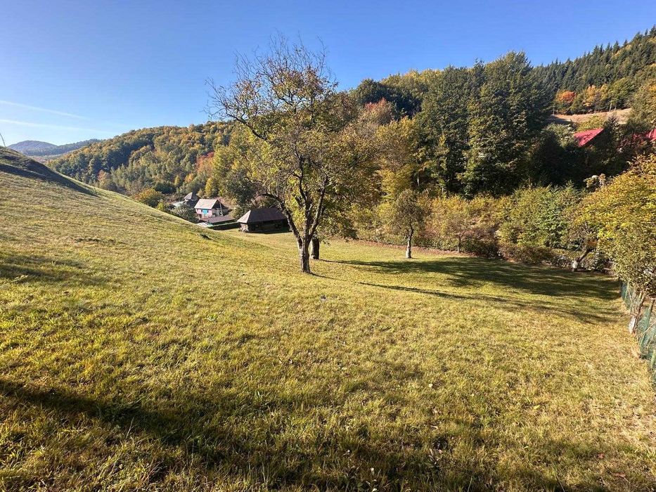 Teren intravilan in Firiza