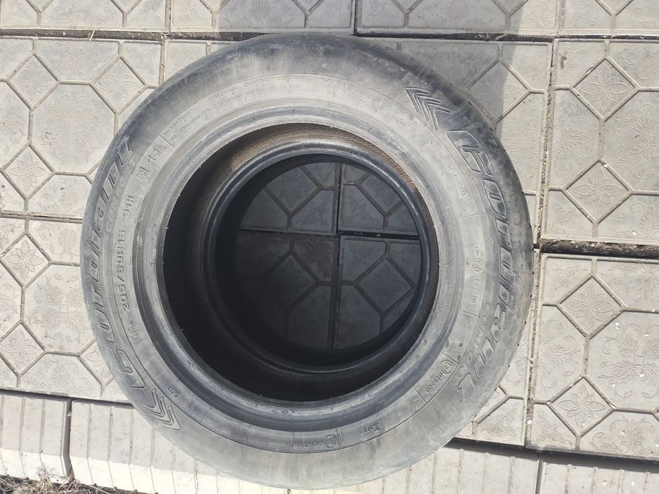 205 60 р15 летние