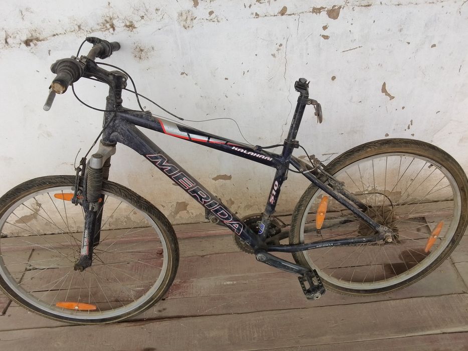 Velesaped rasiyadan kelgan