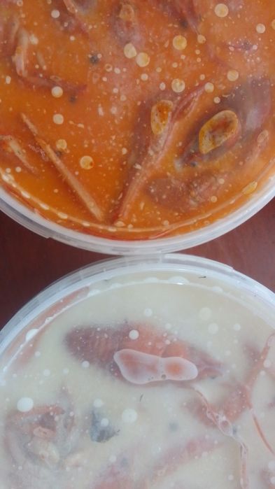 РаКи живые. Раки варёные.
