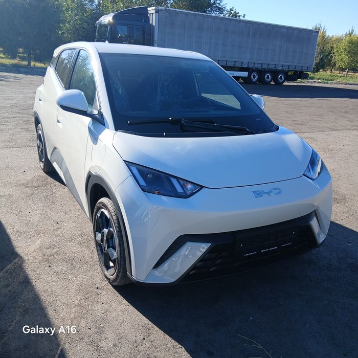 Byd seagul  сотилади