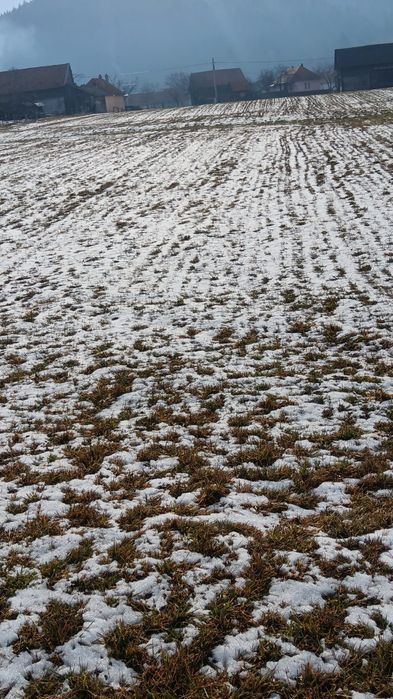 Grădină de vanzare 2200 mp