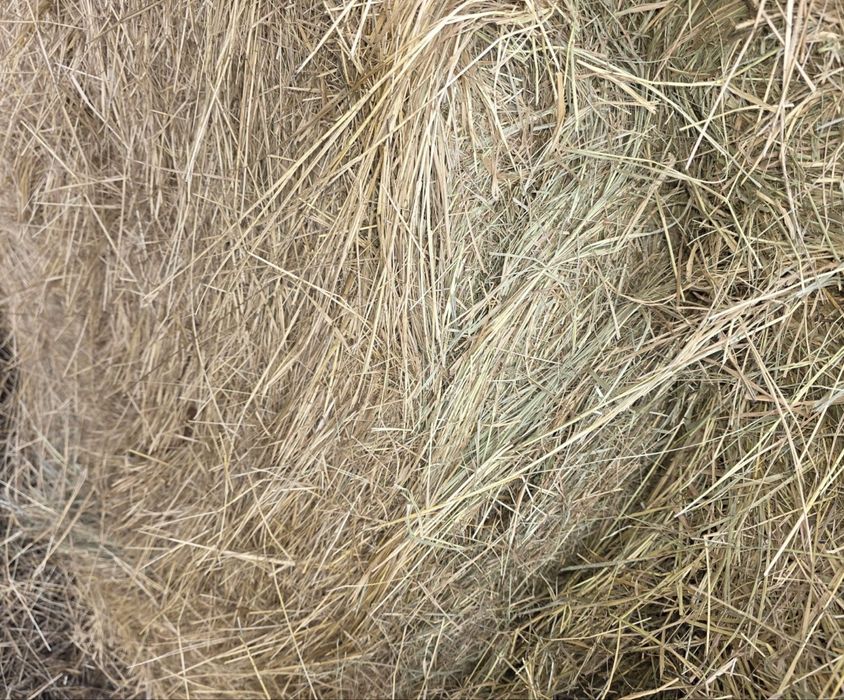 Balot fan 5 buc disponibil