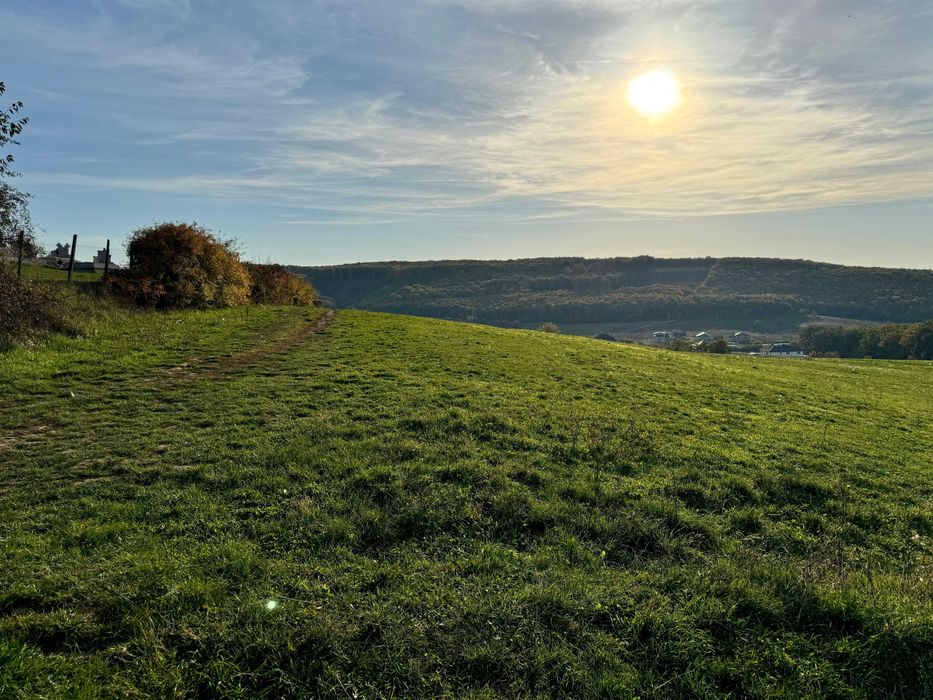 Teren intravilan 5487 mp în localitatea Betfia, comuna Sânmartin