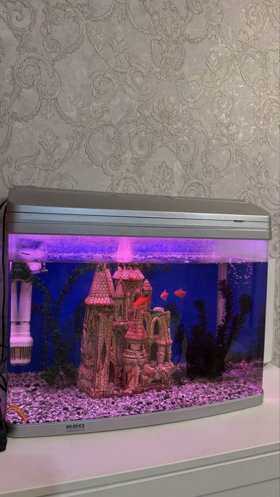Продается аквариум