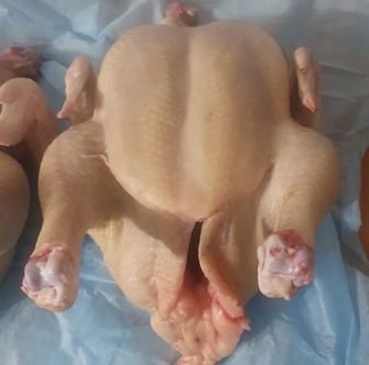 Продам мясо домашнего бройлера.