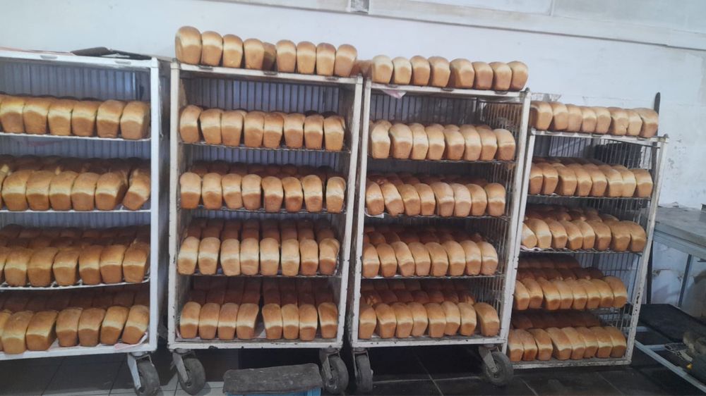 Хлеба печи Васход тестомес