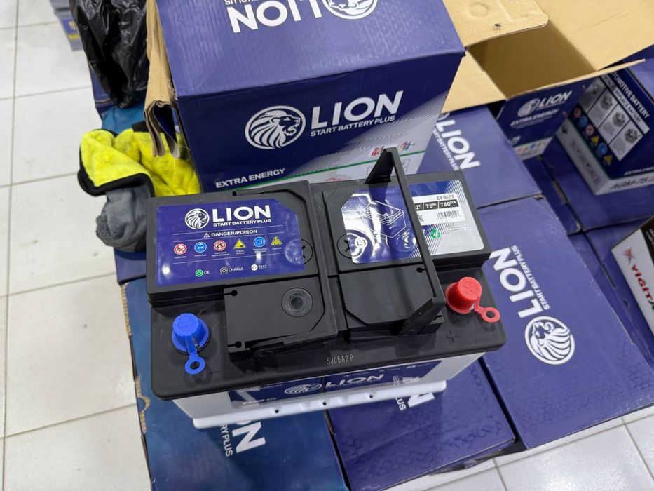 Akkumulyator Lion na vsex vidov  avtomashin gm