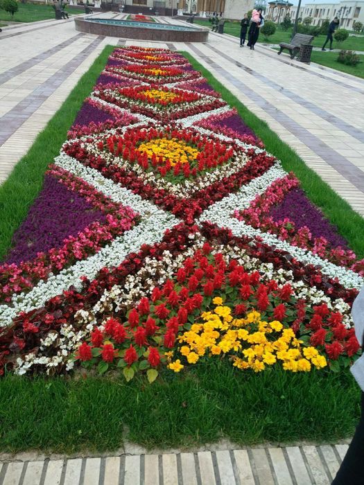 Газон ва гуллар.