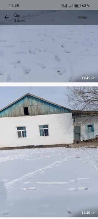 Уй сатылады Тартогай ауылы