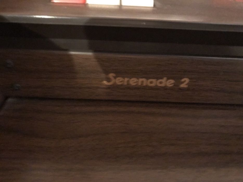 Orga electrica Borsini Serenade2