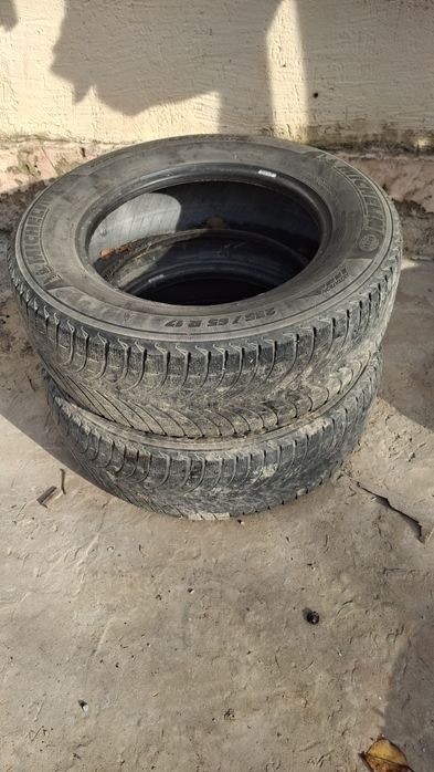 Болон сатылады кыстык