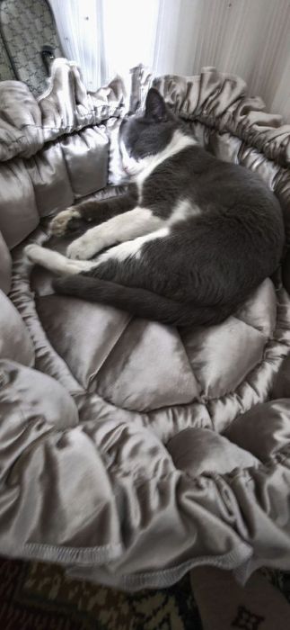 Лежанка для котов . Большое размер