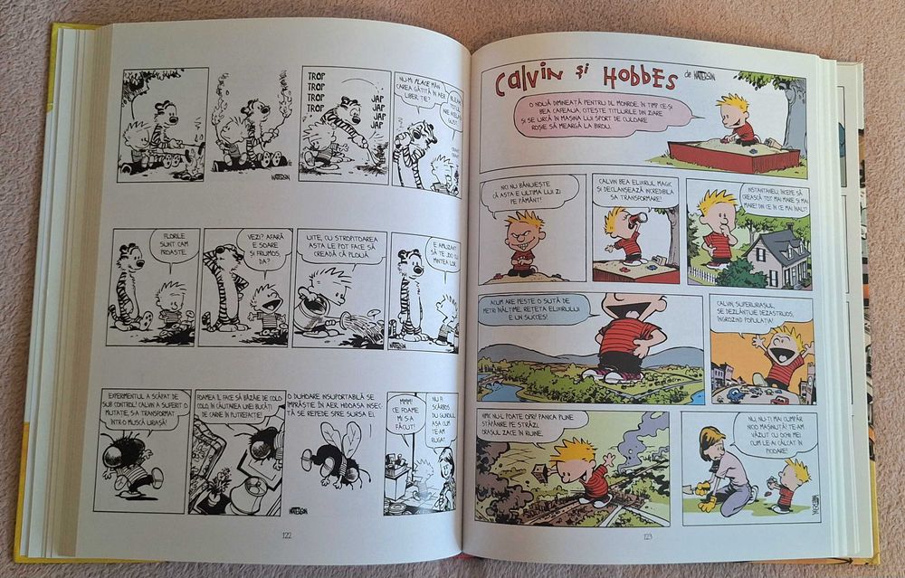 Carte Ilustrata Copii-Calvin&Hobbes