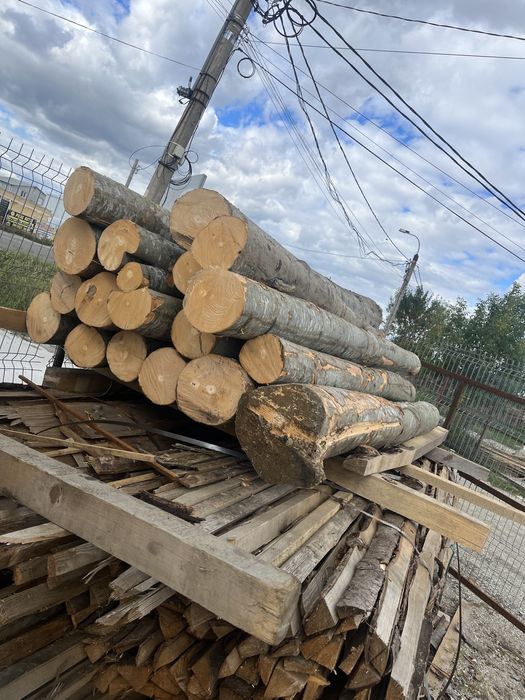 Cherestea rasinoase !