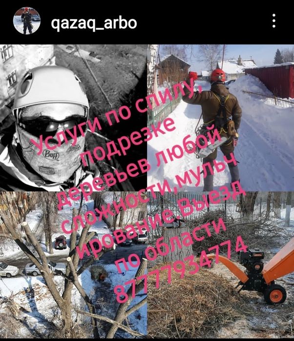 Спил подрезка аварийных деревьев.