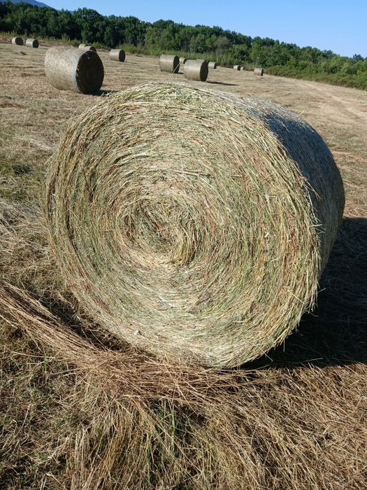 Бали сено и слама