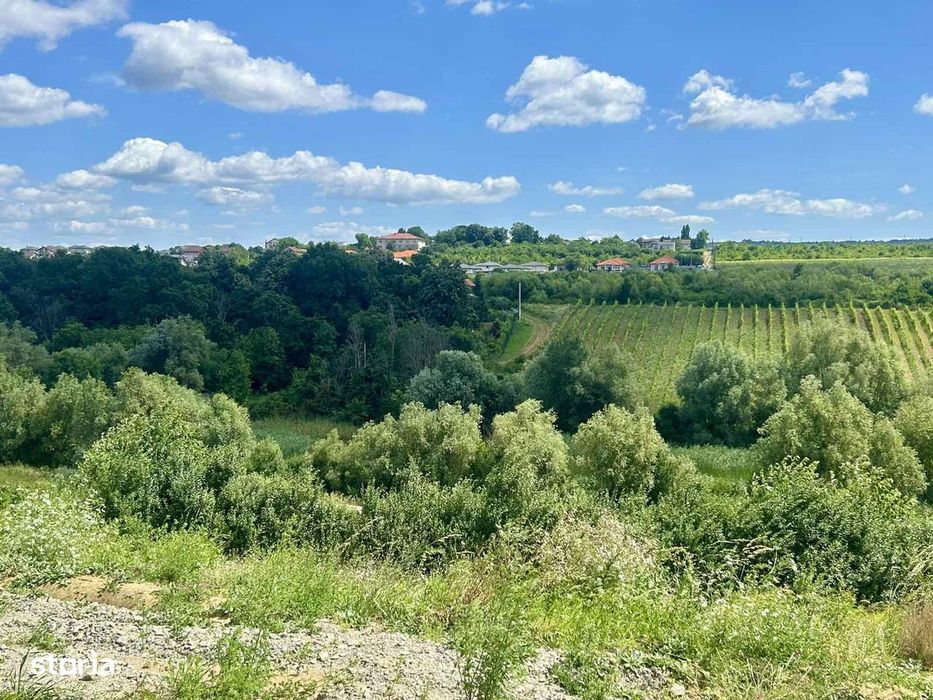 Rate la proprietar Teren intravilan 670 mp Vișan, Bârnova Iași