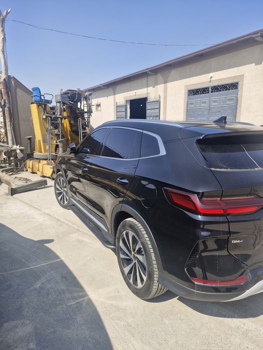 BYD chempion gibrid.