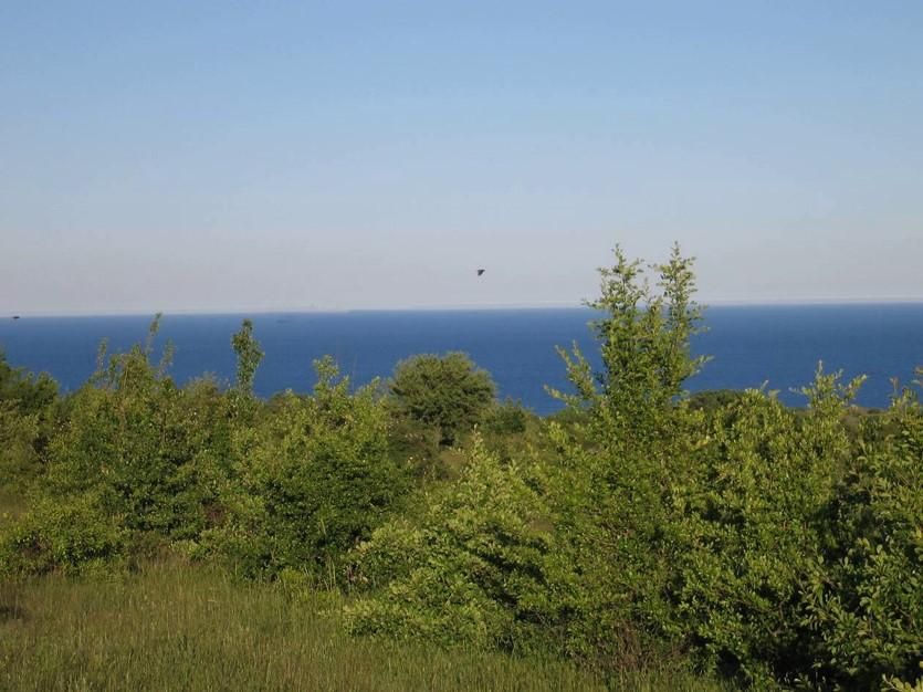 Продава се Парцел в Бургас, Център - 783 кв.м за 40 €/кв.м - Снимка #2