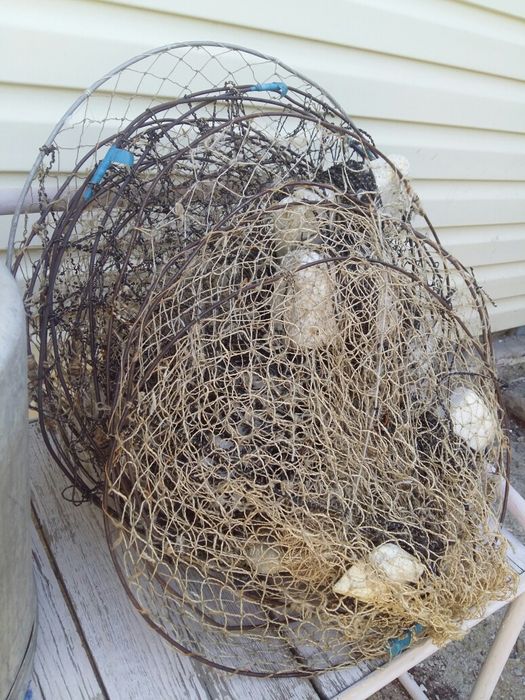 Продам , все для рыбалки.