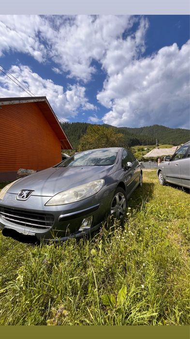 PEUGEOT 407