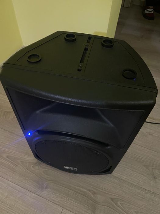 Boxa profesionala activa