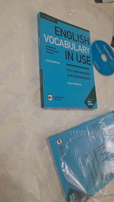 English vocabulary in use с диском