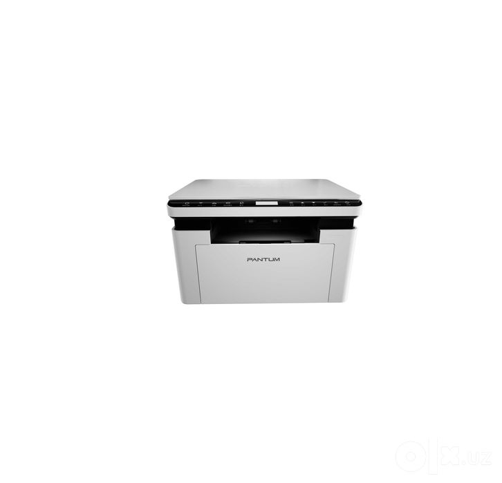 # Printer Pantum BM2300W