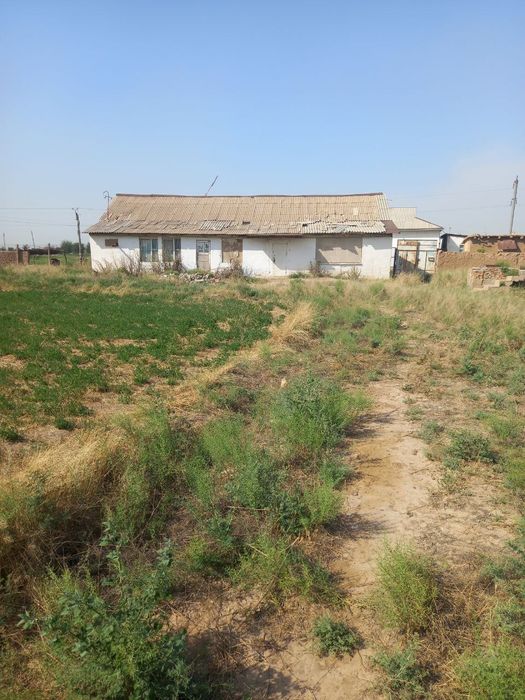 Шошилинг! 10 сотихли дача сотилади!