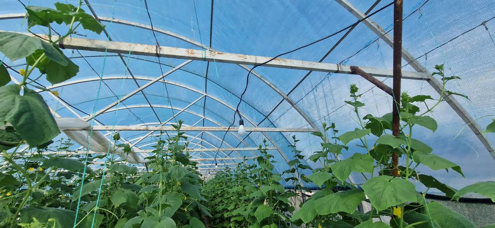 Продам теплица каркас