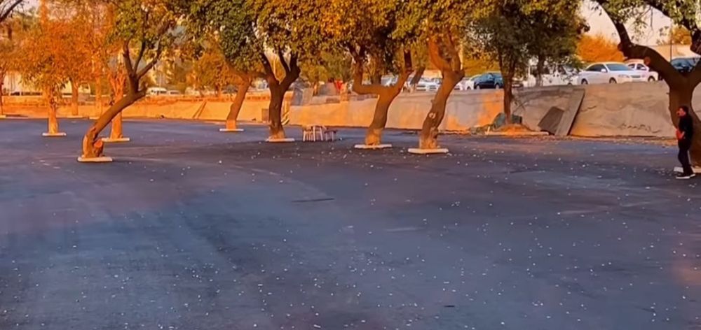 Asfalt yotqizib beramiz!