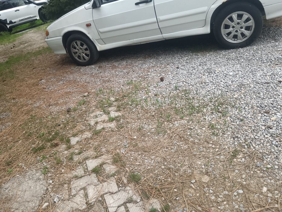 R15 рамашка титанка