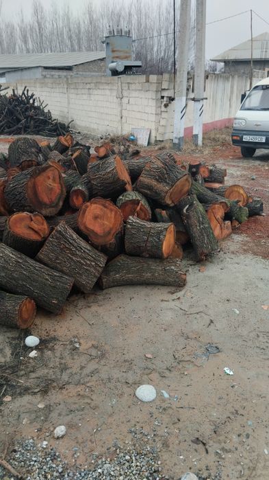 Утин Урик тайор бор