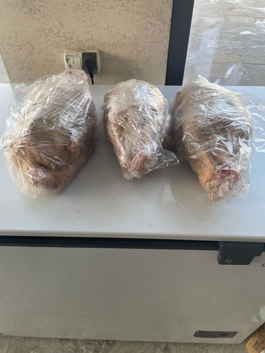 Мясо гуся, қазы еті