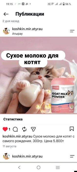Молоко, смесь для котят