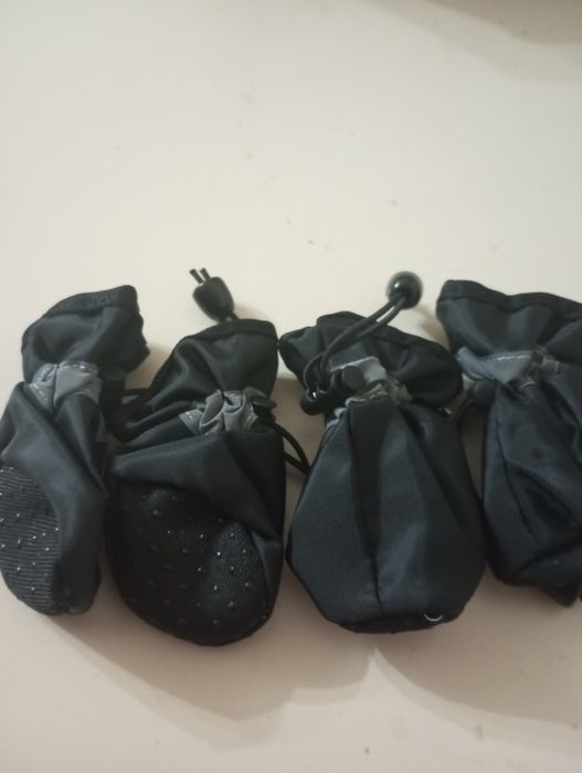 Обувь для животных