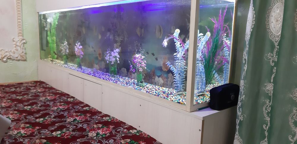Аквариум 600 литров