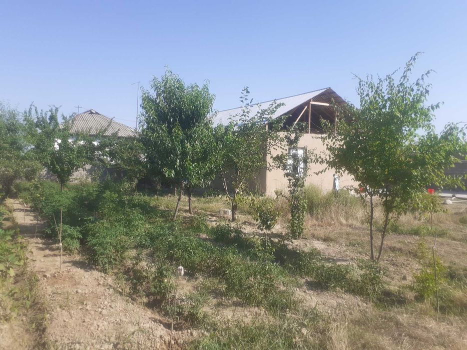 3 комн дом обмен на кв Ташкен Учтепа 1-2комн или продажа, 13км с поста