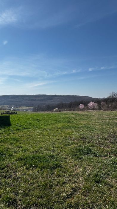 Teren intravilan de vânzare în Betfia, Sânmartin – 1.436 mp, asfalt și utilități la gard
