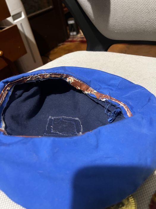 Basca si Bereta BluZa PTAP insigna emblema trese