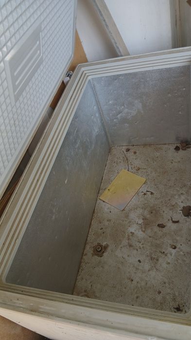 Моразельник холати яхши