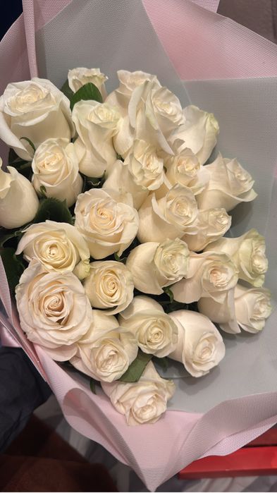 Букет свежих роз 25 штук белых роз