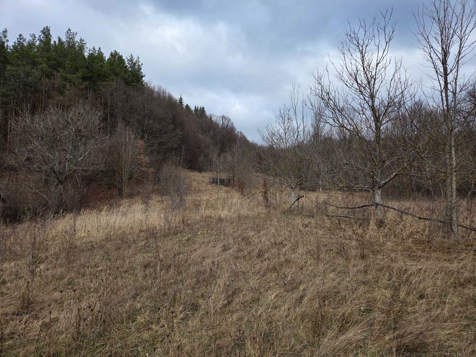 Vând teren munte Soveja 5727 mp – aer ultra curat, deal însorit, la drum, lângă râul Șușița.