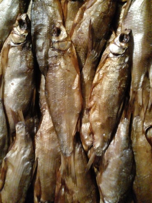 Ревец   Лещ  Чехонь